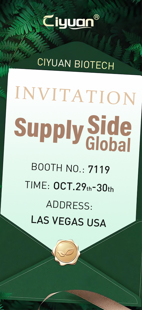 OCT.29-30,2025 LAS VEGAS USA